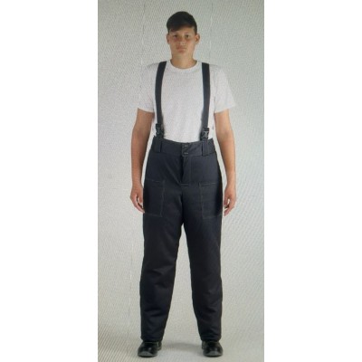 Брюки MILL зимние универсальные серые